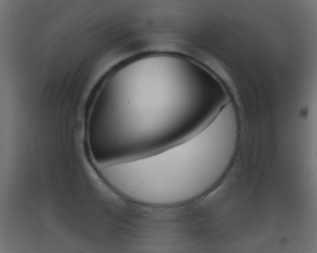 X0000093500984200710121039