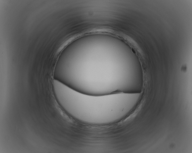 X0000093500985200710121039