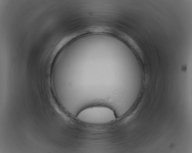 X0000093500986200710121039