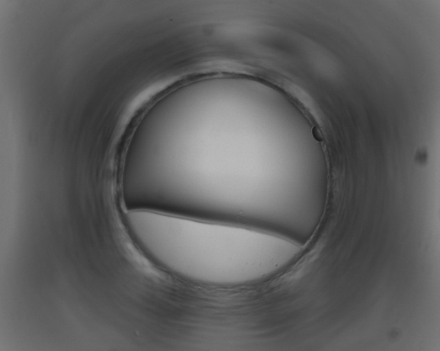 X0000093500987200710121039