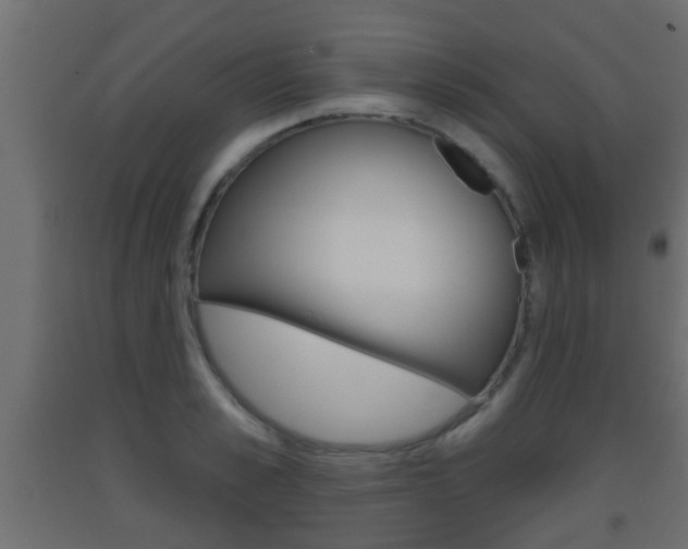 X0000093500989200710121039