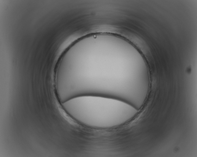 X0000093500990200710121039