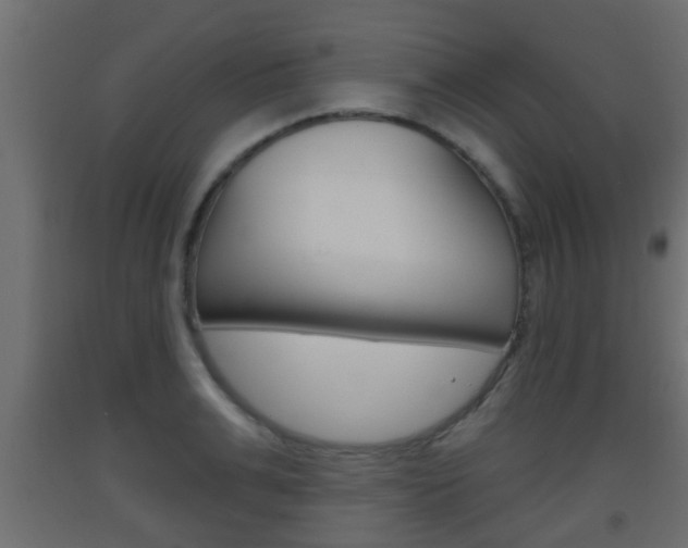 X0000093500991200710121039