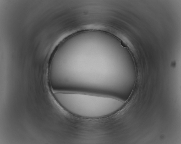 X0000093500992200710121039