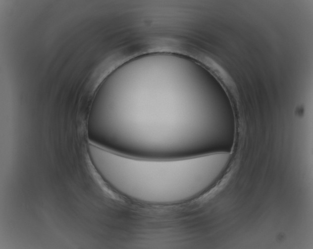 X0000093500993200710121039
