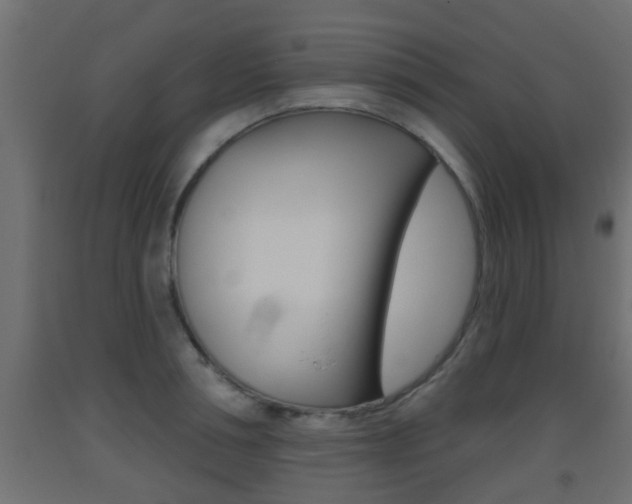 X0000093500994200710121039