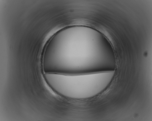 X0000093500995200710121039