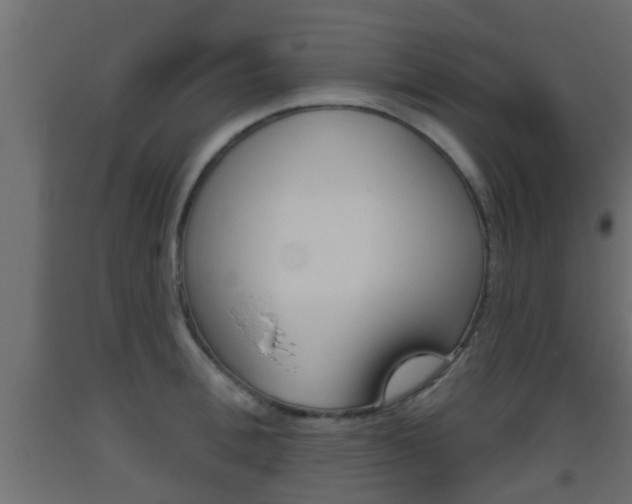 X0000093500996200710121039