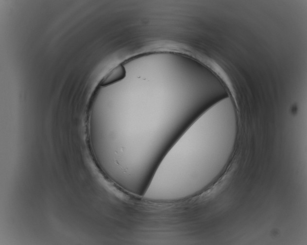 X0000093500997200710121039
