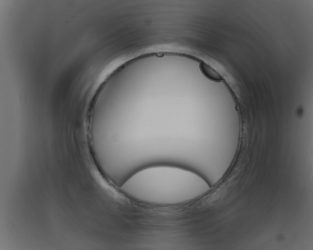 X0000093500998200710121039