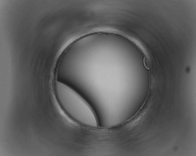 X0000093500999200710121039