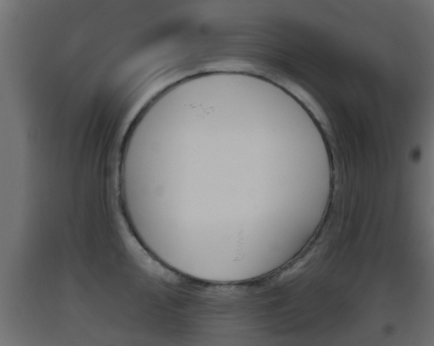 X0000093501000200710121039