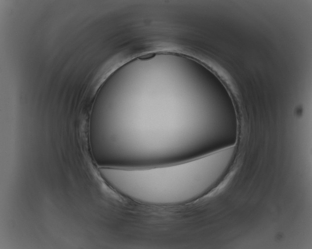 X0000093501001200710121039