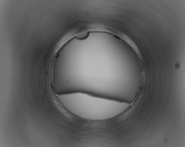 X0000093501002200710121039