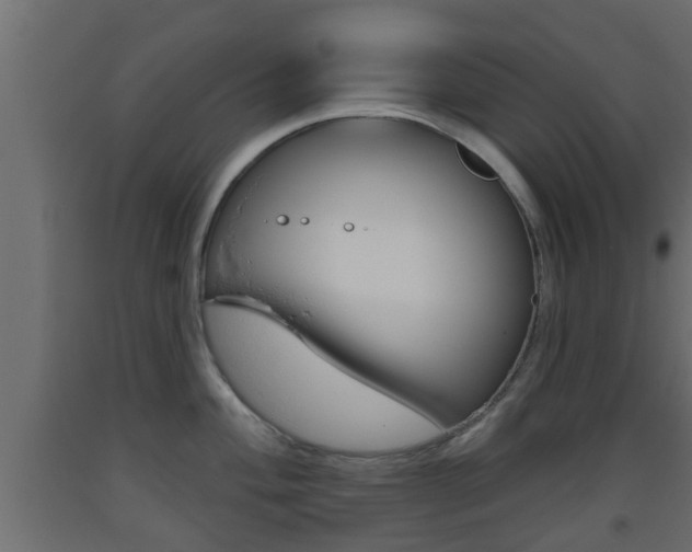 X0000093501004200710121039