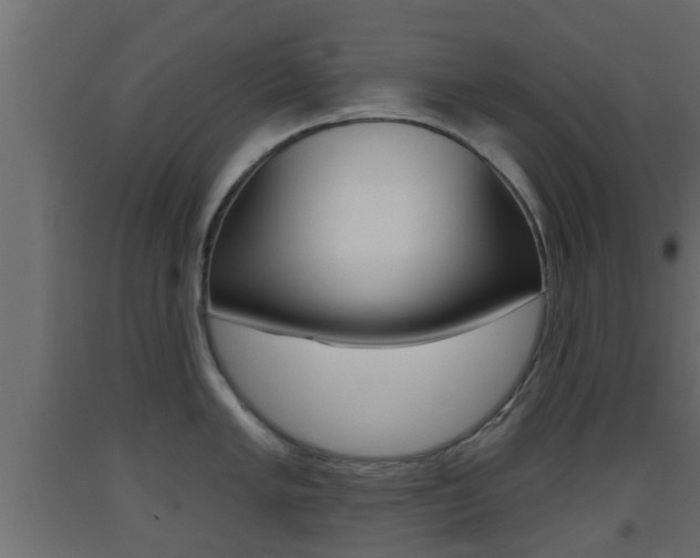 X0000093501005200710121039