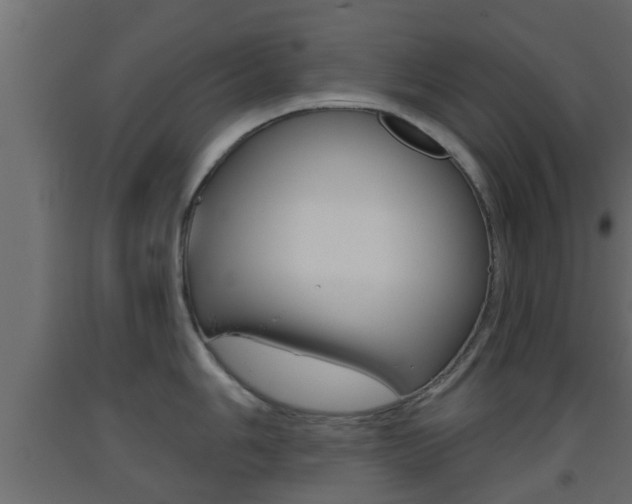 X0000093501006200710121039
