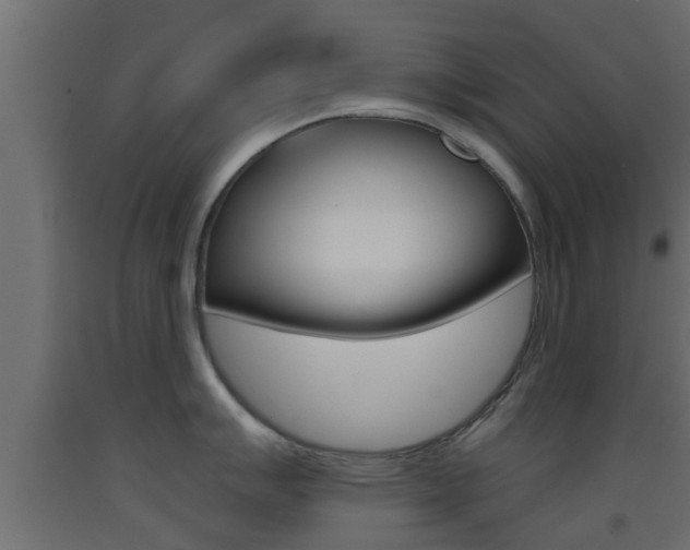 X0000093501007200710121039