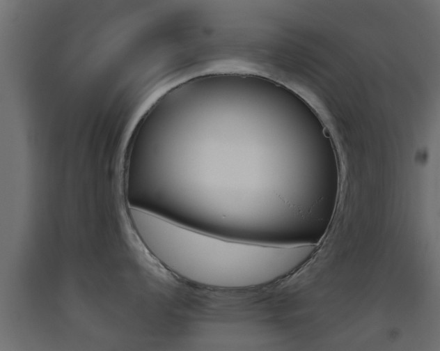 X0000093501008200710121039