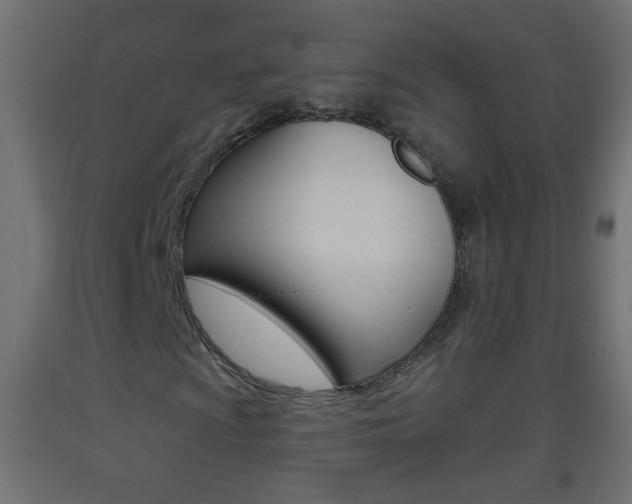 X0000093501009200710121038