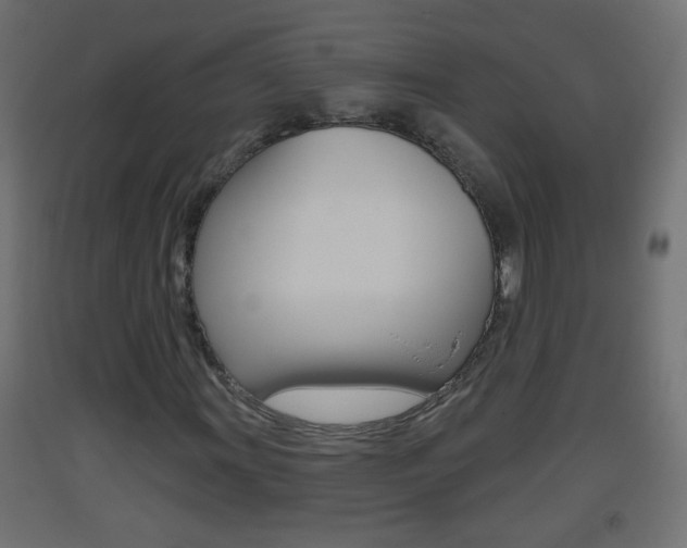 X0000093501011200710121038