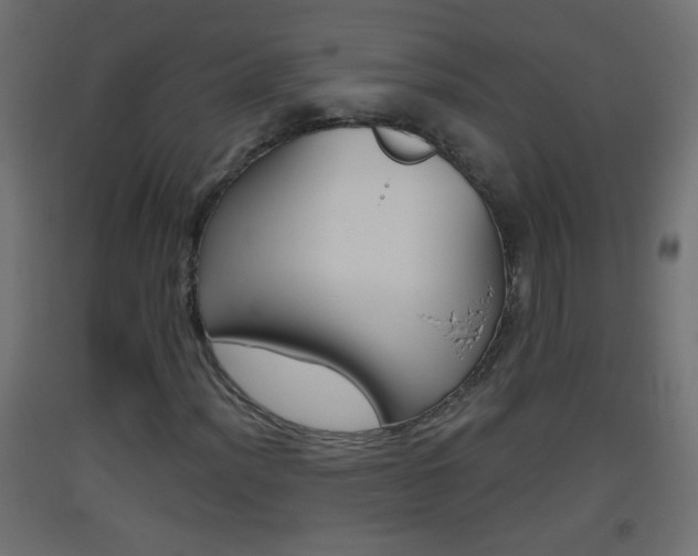 X0000093501012200710121038