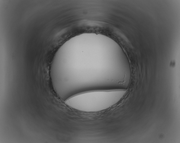 X0000093501013200710121038
