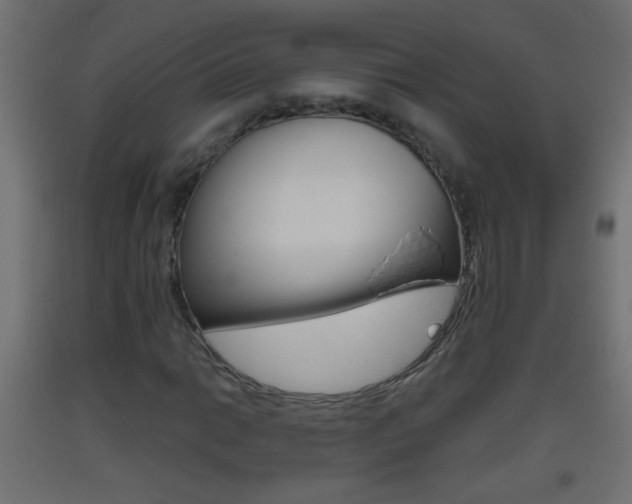 X0000093501014200710121038