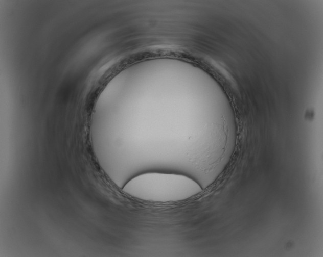 X0000093501015200710121038