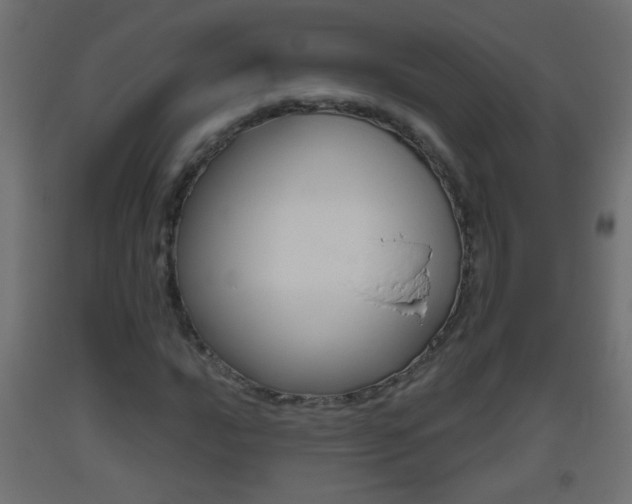 X0000093501016200710121038