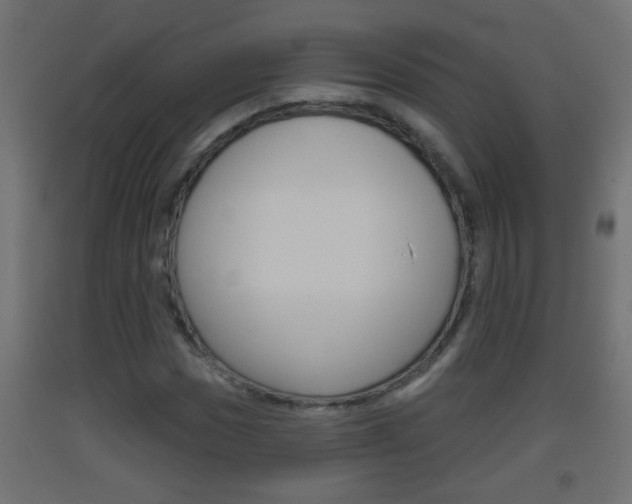 X0000093501017200710121038