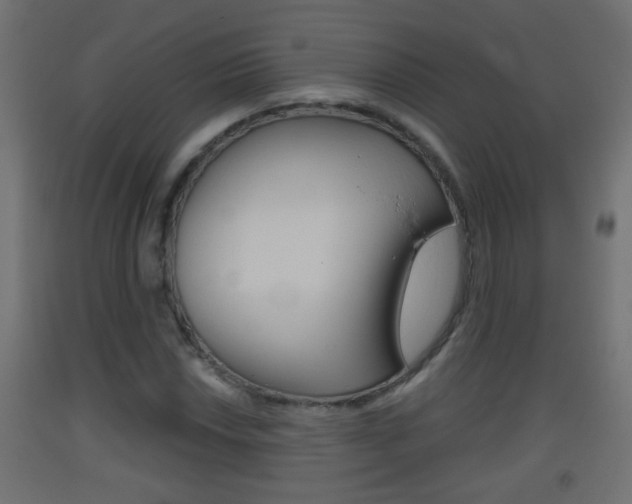 X0000093501018200710121038