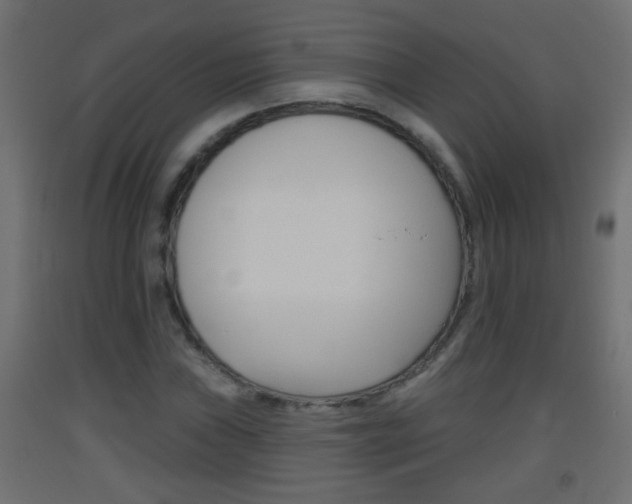 X0000093501019200710121038