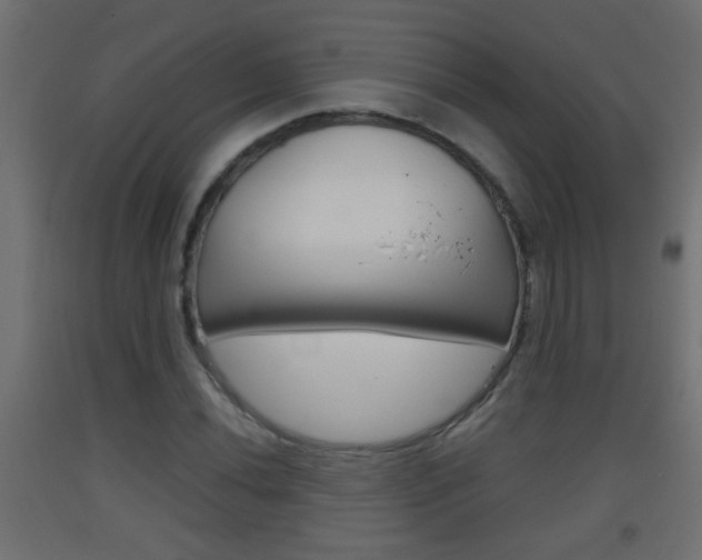 X0000093501020200710121038