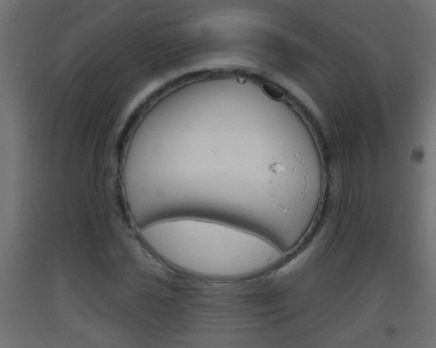 X0000093501021200710121038
