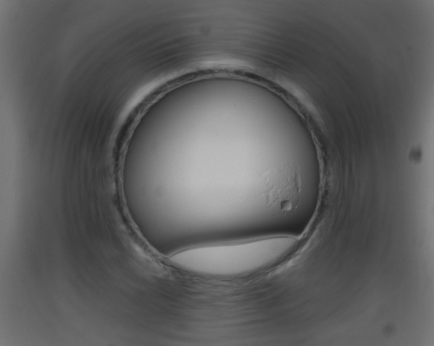X0000093501022200710121038