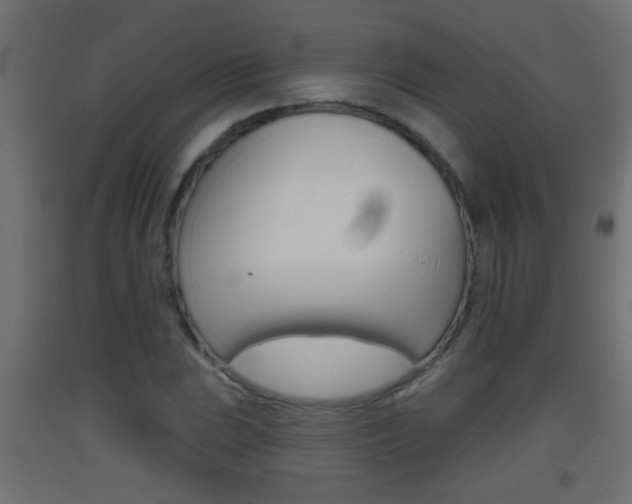 X0000093501023200710121038