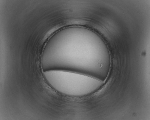 X0000093501025200710121038
