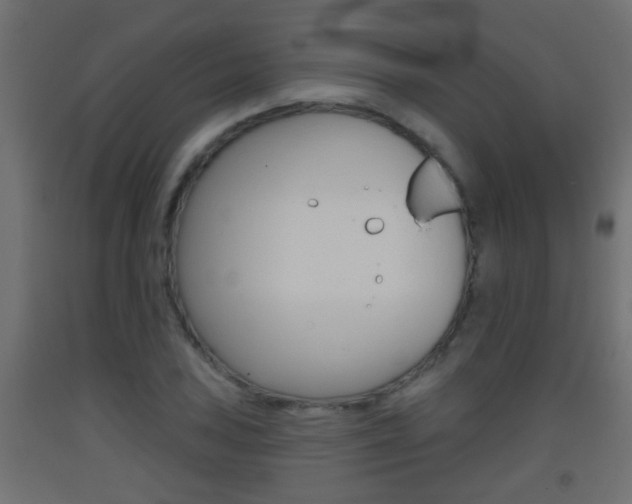 X0000093501027200710121038
