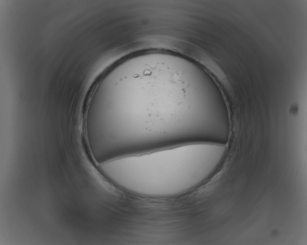 X0000093501028200710121038