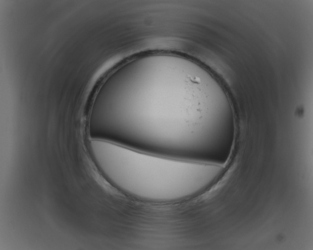 X0000093501029200710121038