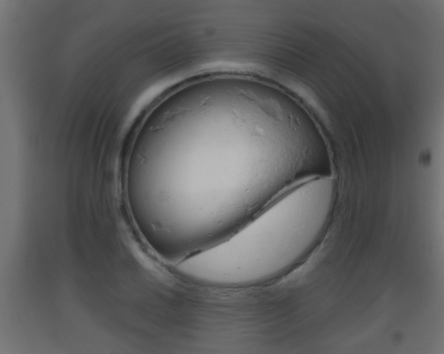 X0000093501030200710121038