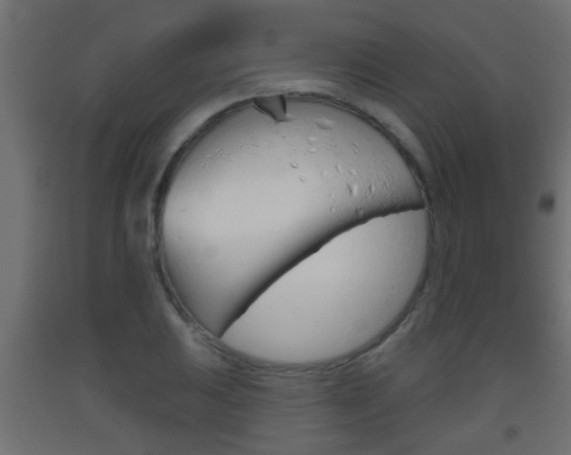 X0000093501031200710121038
