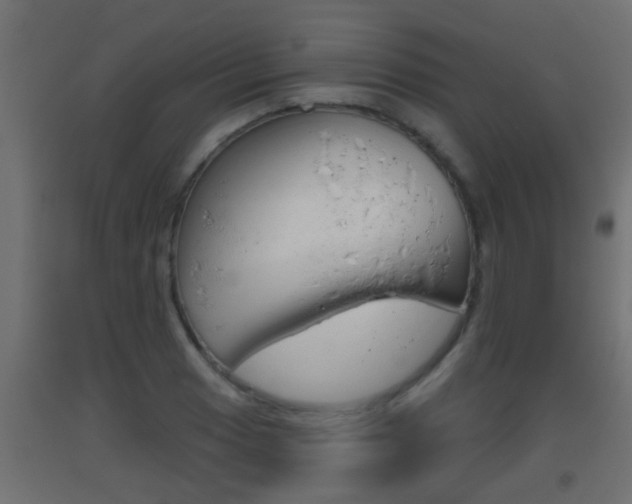 X0000093501033200710121038