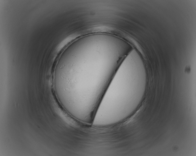 X0000093501034200710121039