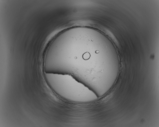 X0000093501035200710121039