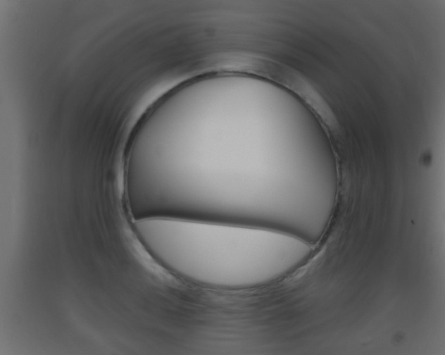 X0000093501036200710121039