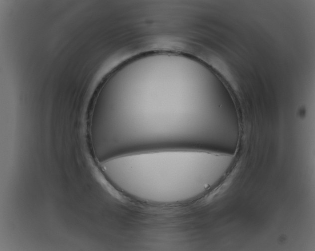 X0000093501037200710121039