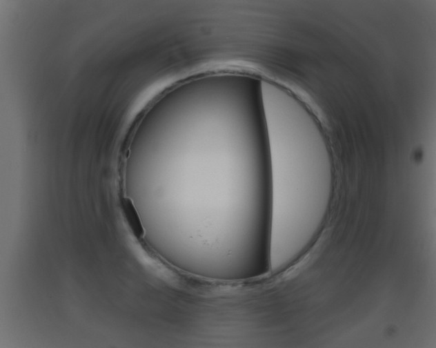 X0000093501038200710121039