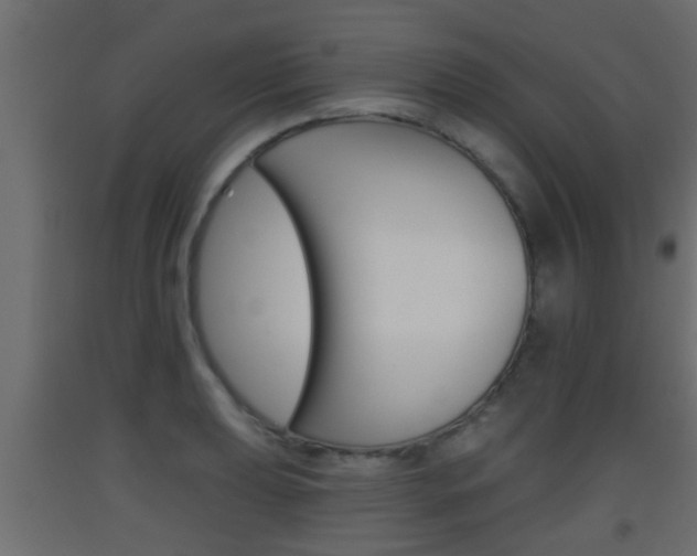 X0000093501039200710121039
